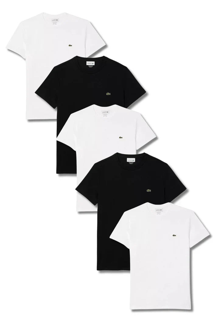 Kit 5 T-shirts Básicas com logo