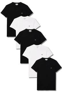 Kit 5 T-shirts Básicas com logo