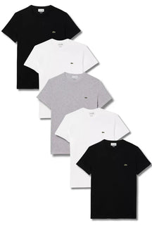 Kit 5 T-shirts Básicas com logo